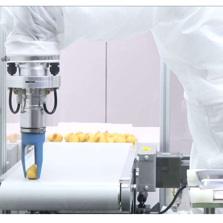 แขนหุ่นยนต์ CNC 6 แกน พร้อมราง - Robot Gripper บทวิจารณ์และราคา